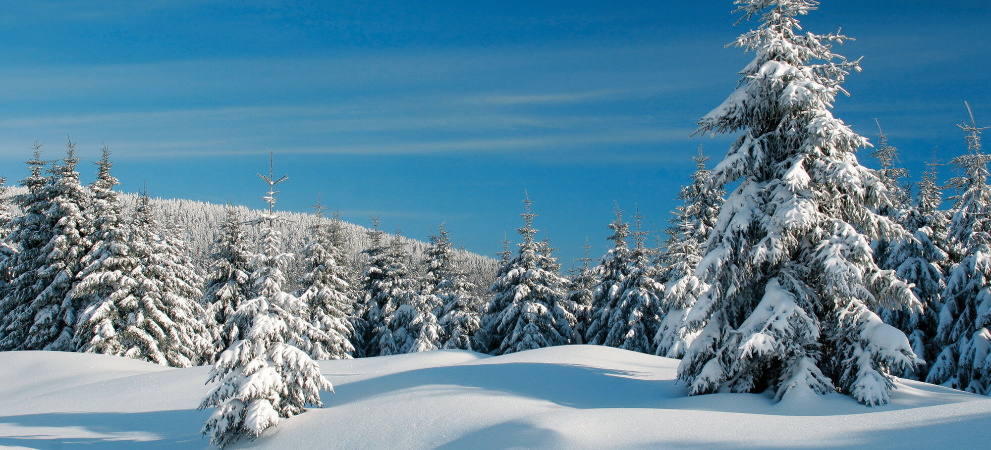 Stecklenberg (Harz) – Winterfahrt mit Schneegarantie
